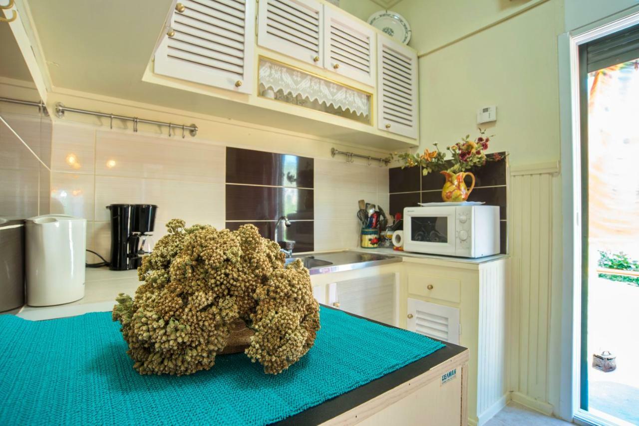 Alexandra Apartment Gaios Buitenkant foto